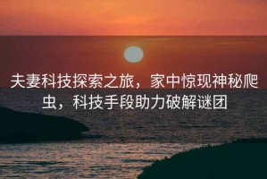 夫妻科技探索之旅，家中驚現神秘爬蟲，科技手段助力破解謎團
