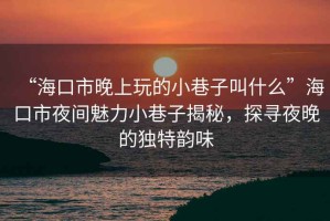 “海口市晚上玩的小巷子叫什么”海口市夜間魅力小巷子揭秘，探尋夜晚的獨特韻味