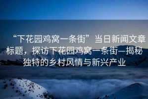 “下花園雞窩一條街”當日新聞文章標題，探訪下花園雞窩一條街—揭秘獨特的鄉村風情與新興產業