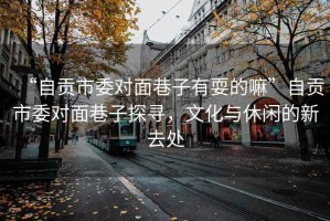 “自貢市委對面巷子有耍的嘛”自貢市委對面巷子探尋，文化與休閑的新去處