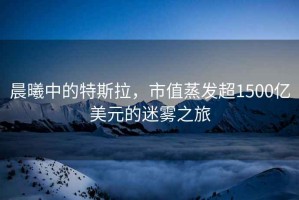 晨曦中的特斯拉，市值蒸發超1500億美元的迷霧之旅