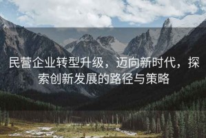 民營企業(yè)轉型升級，邁向新時代，探索創(chuàng)新發(fā)展的路徑與策略