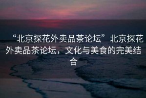 “北京探花外賣品茶論壇”北京探花外賣品茶論壇，文化與美食的完美結合