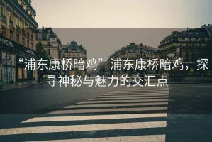 “浦東康橋暗雞”浦東康橋暗雞，探尋神秘與魅力的交匯點