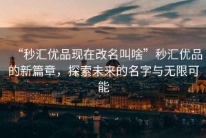 “秒匯優品現在改名叫啥”秒匯優品的新篇章，探索未來的名字與無限可能