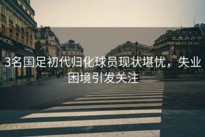 3名國足初代歸化球員現(xiàn)狀堪憂，失業(yè)困境引發(fā)關(guān)注