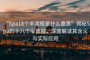 “Spa18個半流程是什么意思”揭秘Spa的十八個半流程，深度解讀其含義與實際應用