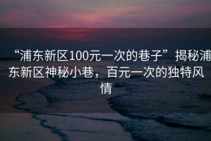 “浦東新區100元一次的巷子”揭秘浦東新區神秘小巷，百元一次的獨特風情