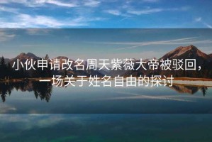小伙申請(qǐng)改名周天紫薇大帝被駁回，一場關(guān)于姓名自由的探討