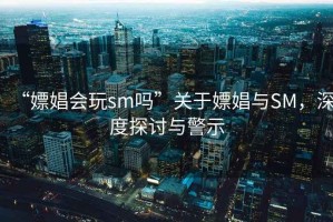 “嫖娼會玩sm嗎”關于嫖娼與SM，深度探討與警示