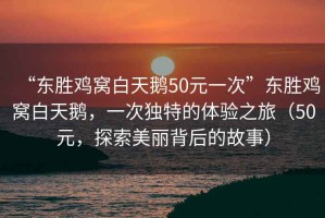 “東勝雞窩白天鵝50元一次”東勝雞窩白天鵝，一次獨特的體驗之旅（50元，探索美麗背后的故事）