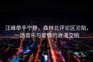 汪峰牽手寧靜，森林北評論區淪陷，一場音樂與愛情的浪漫交響