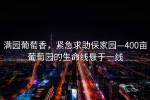 滿園葡萄香，緊急求助保家園—400畝葡萄園的生命線懸于一線