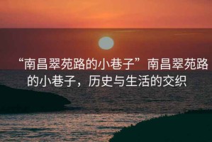“南昌翠苑路的小巷子”南昌翠苑路的小巷子，歷史與生活的交織