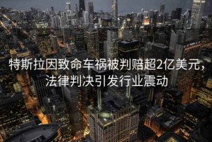 特斯拉因致命車禍被判賠超2億美元，法律判決引發(fā)行業(yè)震動