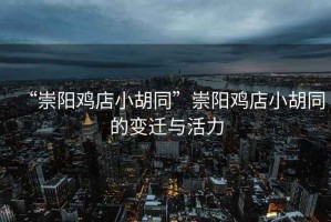 “崇陽雞店小胡同”崇陽雞店小胡同的變遷與活力