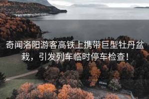 奇聞洛陽游客高鐵上攜帶巨型牡丹盆栽，引發列車臨時停車檢查！
