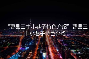 “曹縣三中小巷子特色介紹”曹縣三中小巷子特色介紹