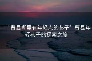 “曹縣哪里有年輕點的巷子”曹縣年輕巷子的探索之旅
