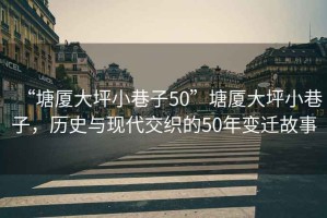 “塘廈大坪小巷子50”塘廈大坪小巷子，歷史與現代交織的50年變遷故事