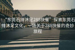 “東莞石排沐足288快餐”探索東莞石排沐足文化，一場關于288快餐的奇妙旅程
