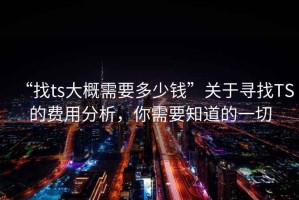 “找ts大概需要多少錢”關(guān)于尋找TS的費用分析，你需要知道的一切