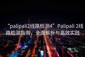 “palipali2線路檢測4”Palipali 2線路檢測指南，全面解析與高效實踐