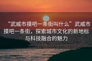 “武威市摸吧一條街叫什么”武威市摸吧一條街，探索城市文化的新地標與科技融合的魅力