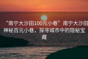 “南寧大沙田100元小巷”南寧大沙田神秘百元小巷，探尋城市中的隱秘寶藏