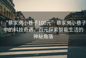 “蔡家崗小巷子100元”蔡家崗小巷子中的科技奇遇，百元探索智能生活的神秘角落
