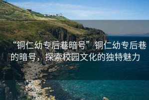 “銅仁幼專后巷暗號”銅仁幼專后巷的暗號，探索校園文化的獨特魅力