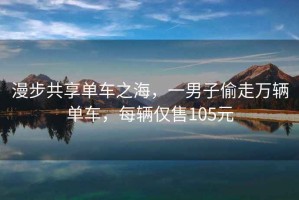 漫步共享單車之海，一男子偷走萬輛單車，每輛僅售105元