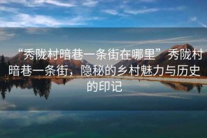 “秀隴村暗巷一條街在哪里”秀隴村暗巷一條街，隱秘的鄉村魅力與歷史的印記