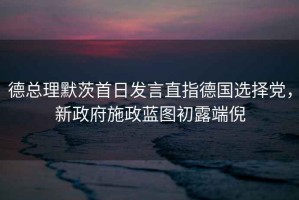 德總理默茨首日發(fā)言直指德國選擇黨，新政府施政藍圖初露端倪