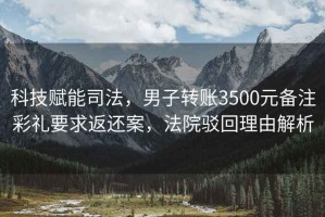 科技賦能司法，男子轉賬3500元備注彩禮要求返還案，法院駁回理由解析