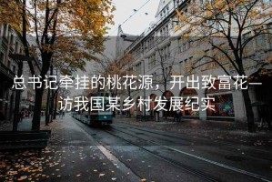 總書記牽掛的桃花源，開出致富花—訪我國(guó)某鄉(xiāng)村發(fā)展紀(jì)實(shí)