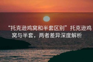 “托克遜雞窩和半套區別”托克遜雞窩與半套，兩者差異深度解析
