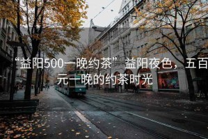 “益陽500一晚約茶”益陽夜色，五百元一晚的約茶時光