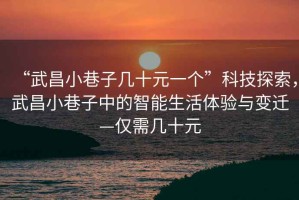 “武昌小巷子幾十元一個”科技探索，武昌小巷子中的智能生活體驗與變遷—僅需幾十元
