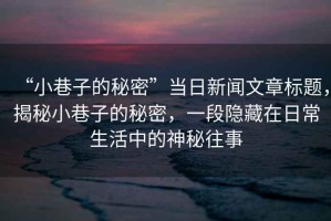 “小巷子的秘密”當日新聞文章標題，揭秘小巷子的秘密，一段隱藏在日常生活中的神秘往事