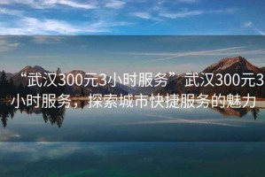 “武漢300元3小時服務”武漢300元3小時服務，探索城市快捷服務的魅力