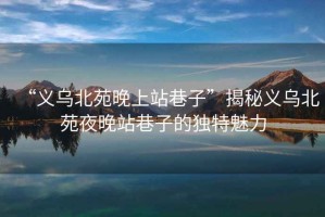 “義烏北苑晚上站巷子”揭秘義烏北苑夜晚站巷子的獨(dú)特魅力