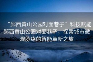 “鄖西黃山公園對面巷子”科技賦能鄖西黃山公園對面巷子，探索城市微觀脈絡的智能革新之旅