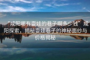 “咸陽哪有耍娃的巷子啊多少錢”咸陽探索，揭秘耍娃巷子的神秘面紗與價格揭秘