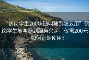 “鶴崗學生200塊隨叫隨到怎么用”鶴崗學生隨叫隨到服務興起，僅需200元，如何正確使用？