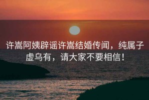 許嵩阿姨辟謠許嵩結婚傳聞，純屬子虛烏有，請大家不要相信！