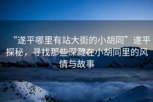 “遂平哪里有站大街的小胡同”遂平探秘，尋找那些深藏在小胡同里的風情與故事