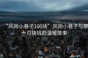 “鳳崗小巷子100塊”鳳崗小巷子與那一百塊錢的溫暖故事