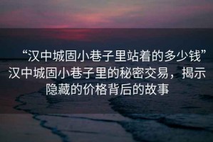 “漢中城固小巷子里站著的多少錢”漢中城固小巷子里的秘密交易，揭示隱藏的價(jià)格背后的故事