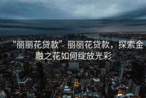 “麗麗花貸款”麗麗花貸款，探索金融之花如何綻放光彩